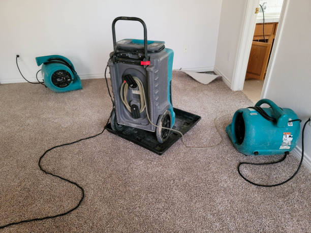 Best Flooded house restoration  in Tennessee Ridge, TN