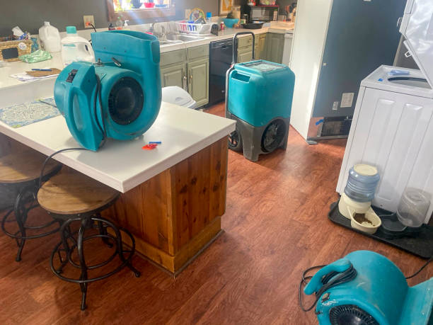 Best Sewage cleanup and water damage restoration  in Tennessee Ridge, TN