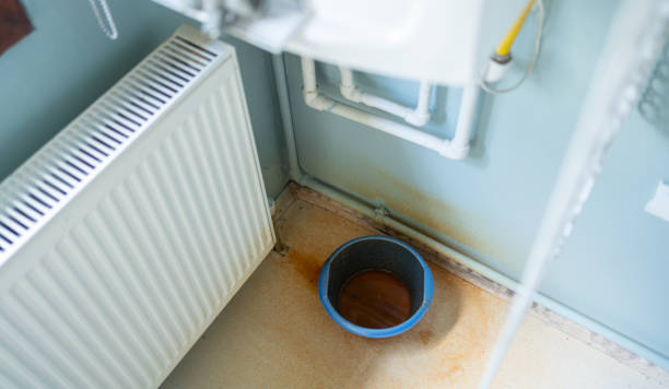 Best Water damage restoration insurance claims  in Tennessee Ridge, TN
