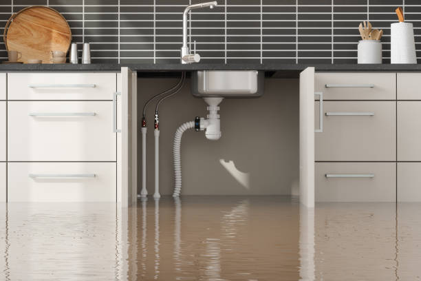  Tennessee Ridge, TN Water damage restoration Pros